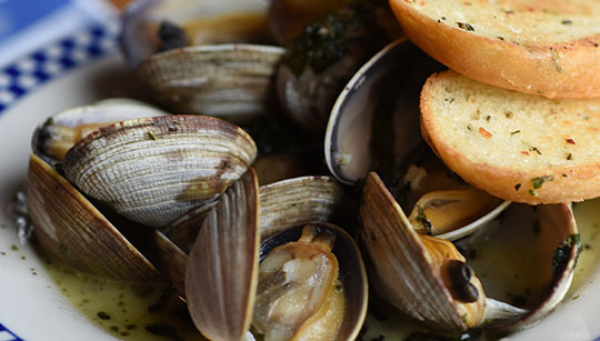 Steamer clams with toasted garlic bread