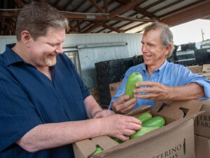 Bill Ranniger inspecting boxes of zuccini with Duke Moscrip